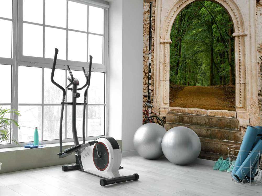 Poort naar groen bospad