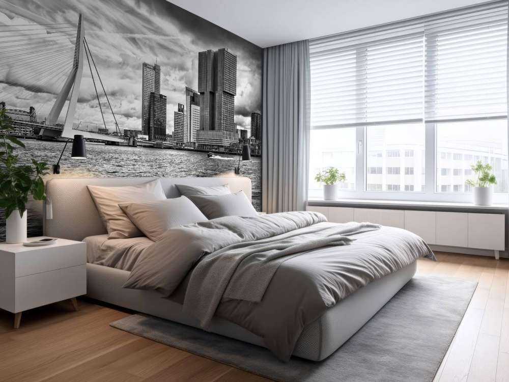 Erasmusbrug en Skyline in Monochroom