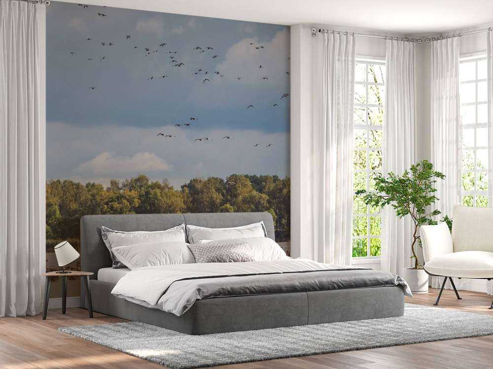 Vlucht over het Water