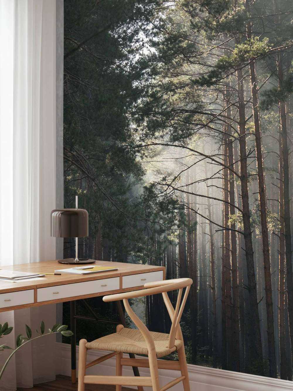 Herfstgloed in het Woud