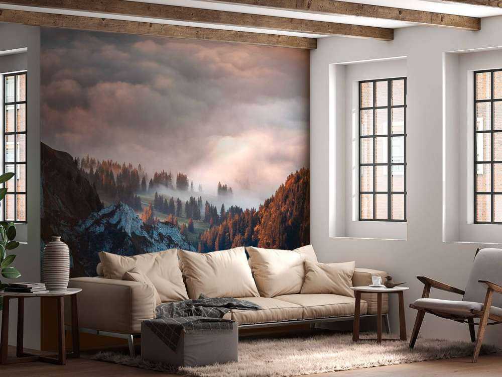 Bosrand in ochtendnevel