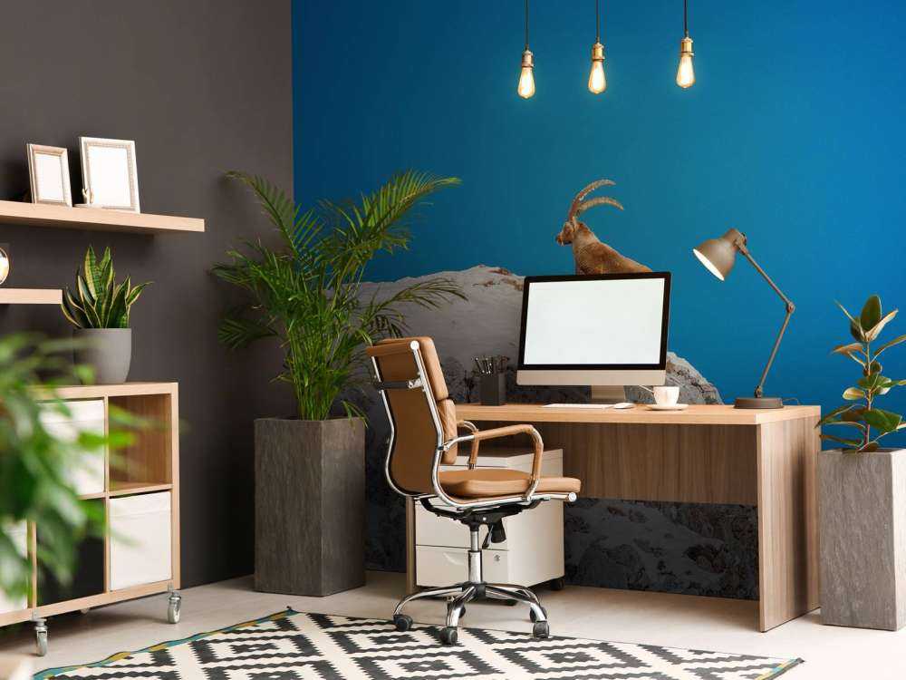 Steenbok op besneeuwde rotspiek