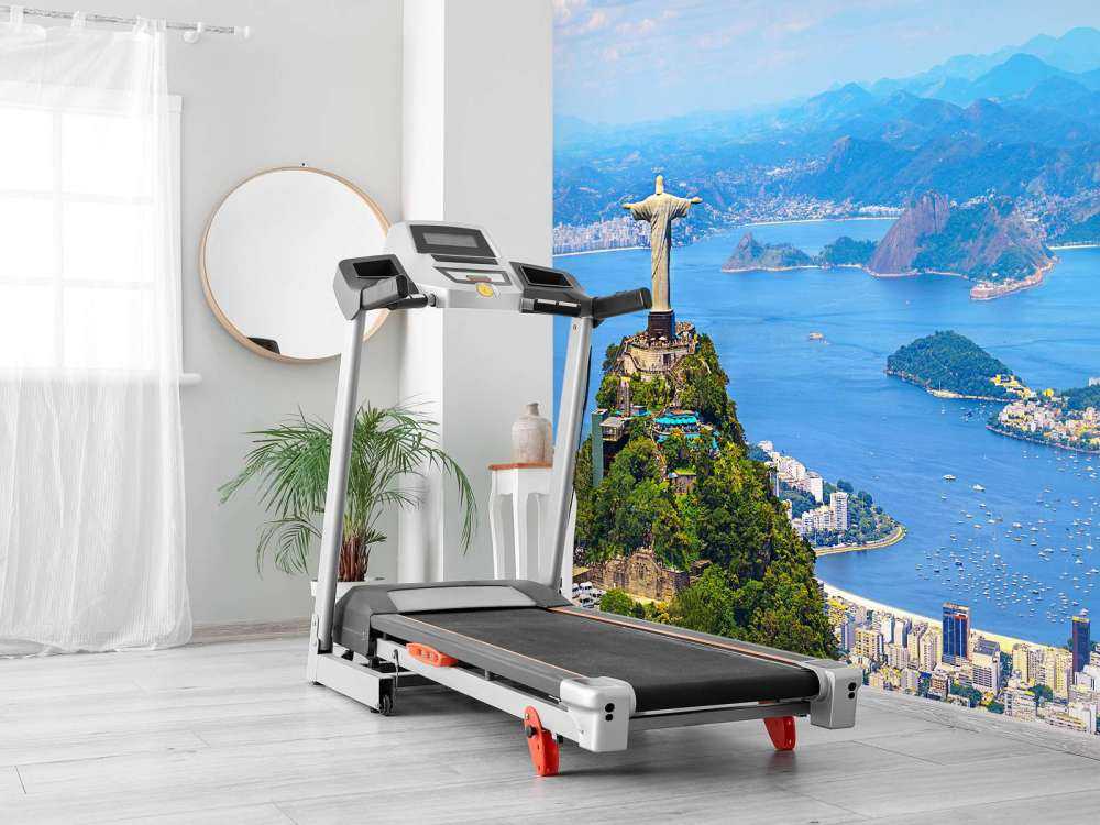 Rio de Janeiro in de zomer