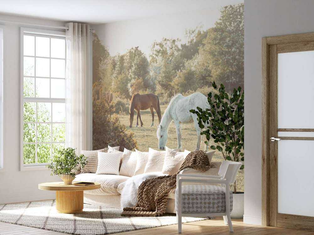 Grazende paarden