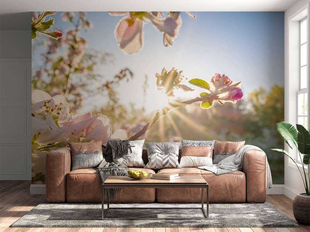 Felle Zon achter Bloesem takjes