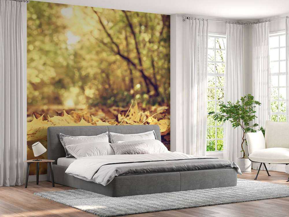 Bladeren in het Bos tijdens de Herfst