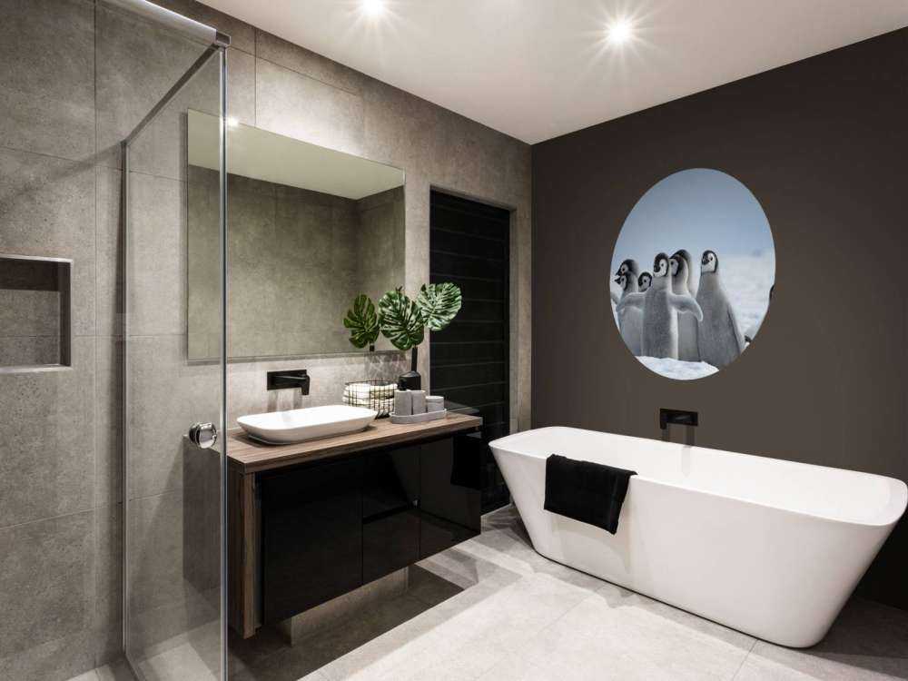 Keizerspinguïns in de sneeuw