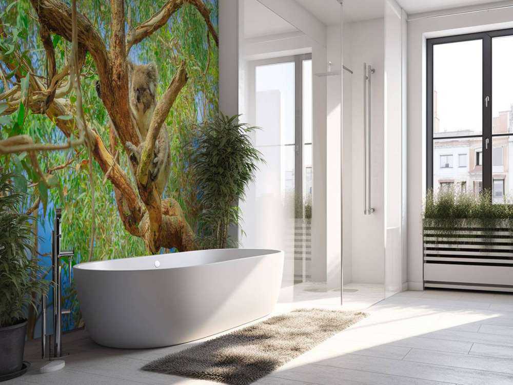 Koala in een Eucalyptus boom