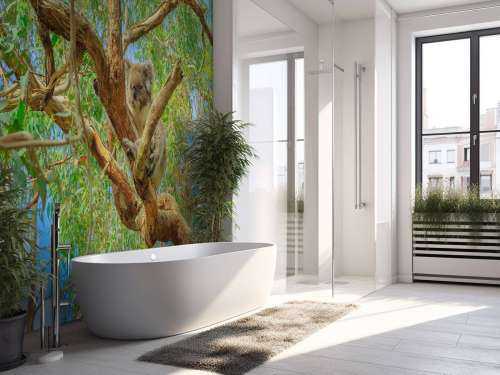 Koala in een Eucalyptus boom