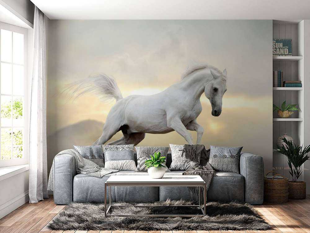 Arabische Hengst in het stof