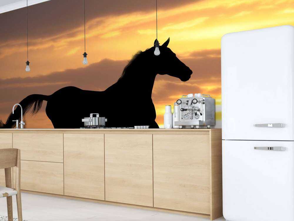 Paard tijdens Zonsondergang