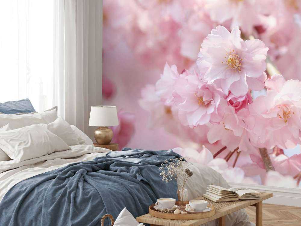 Close-up roze bloesems