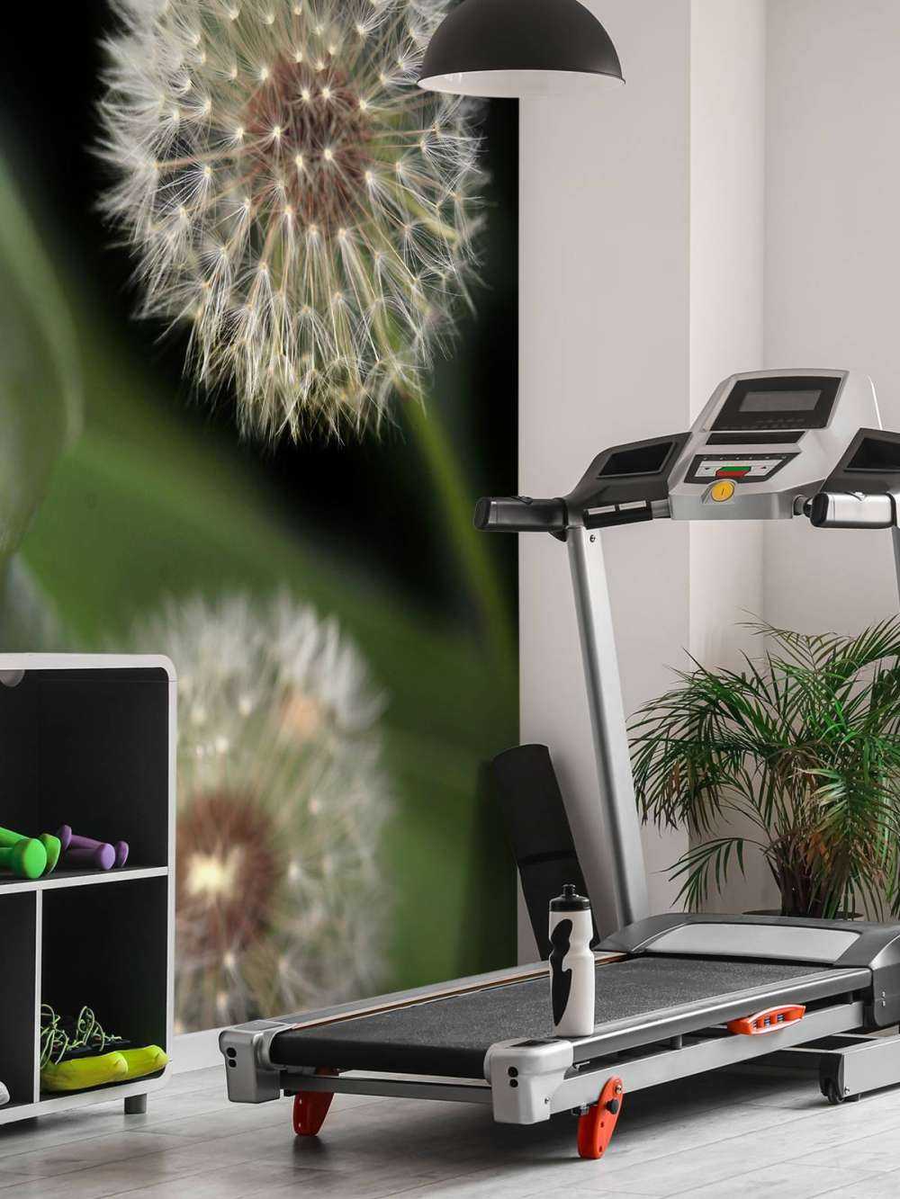 Close-up paardenbloemen