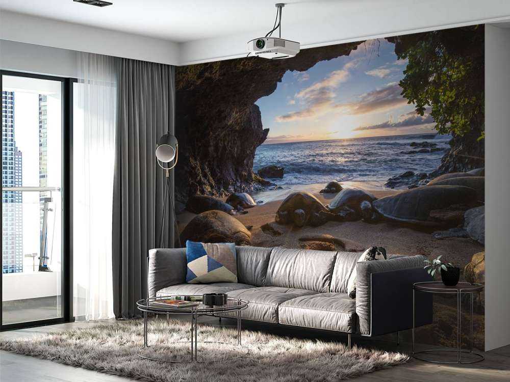 Schildpadden in een grot