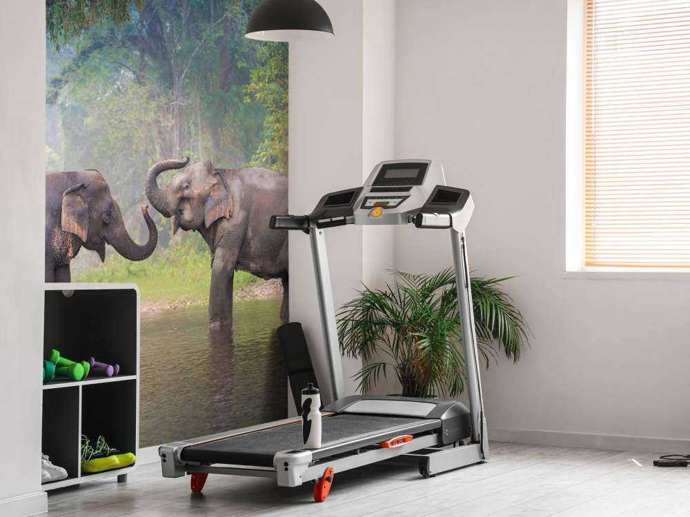 Aziatische olifanten in een rivier