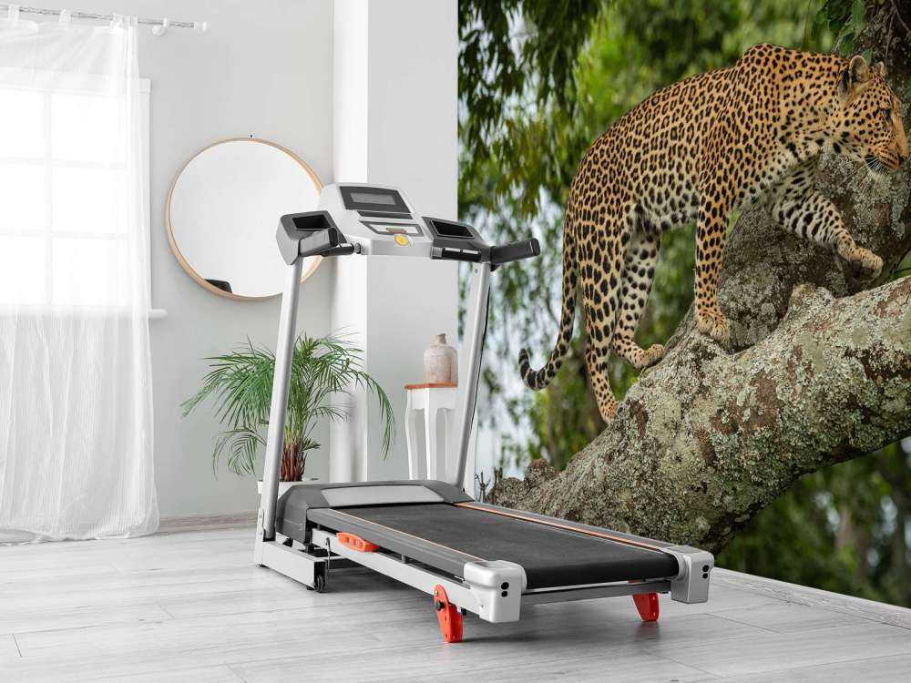 Luipaard klimt in een boom