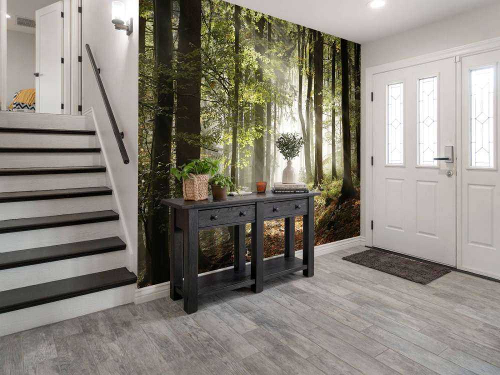 Mistig bos in de herfst