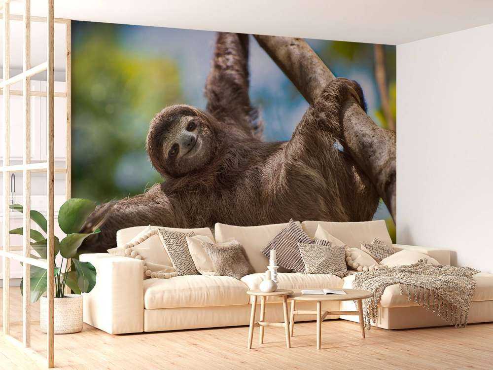 Gelukkige luiaard in het oerwoud