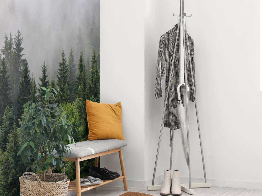 Bovenaanzicht van een mistig bos