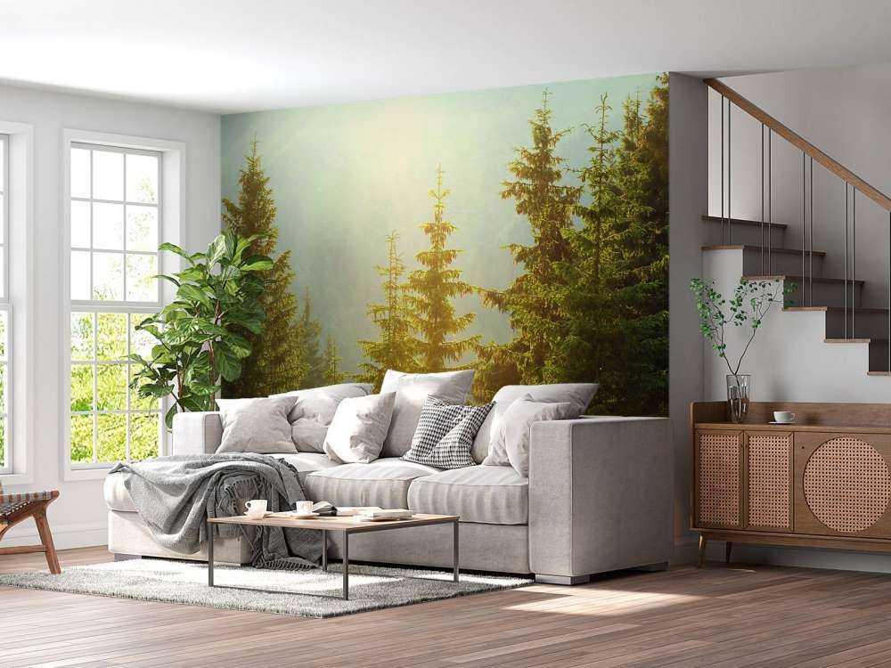 Berglandschap in de ochtend met hoge bomen
