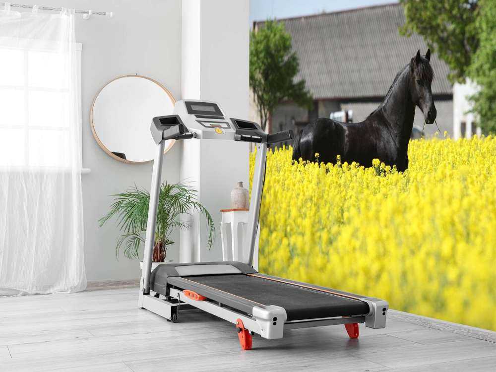Zwart Fries Paard in de lente tussen de bloemen