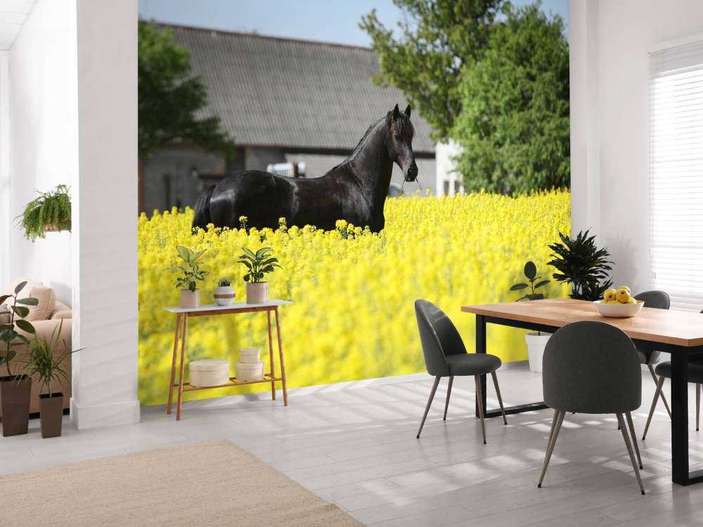 Zwart Fries Paard in de lente tussen de bloemen