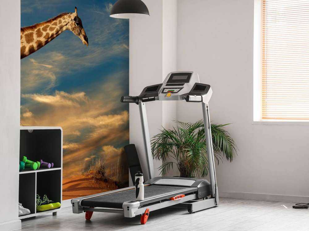 Giraffe in Zuid-Afrika lopend op zand