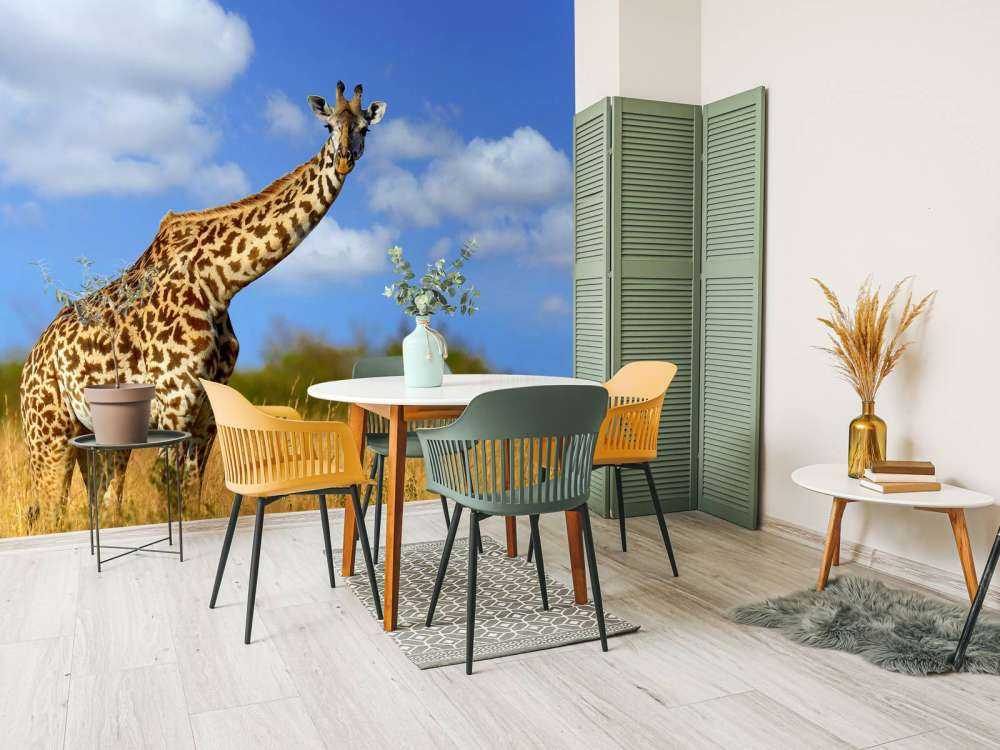 Giraffe met grappige houding