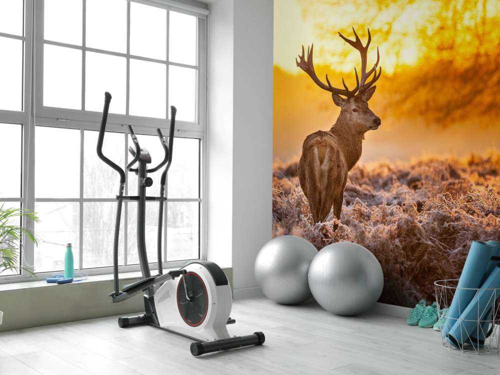 Hert met Zonsondergang