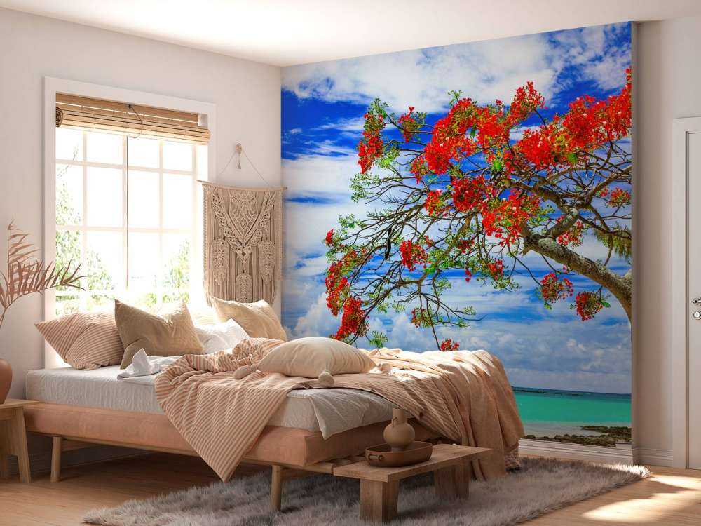 Rode flamboyant boom op het strand