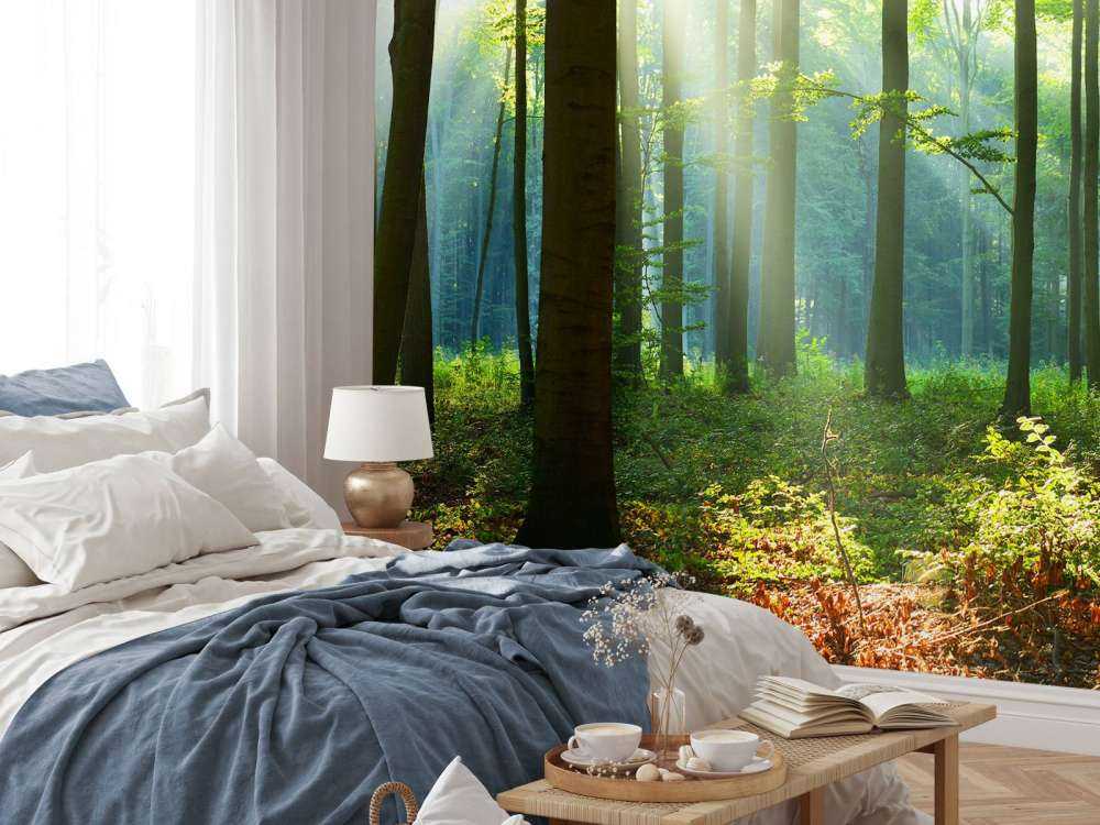 s Ochtends in het bos