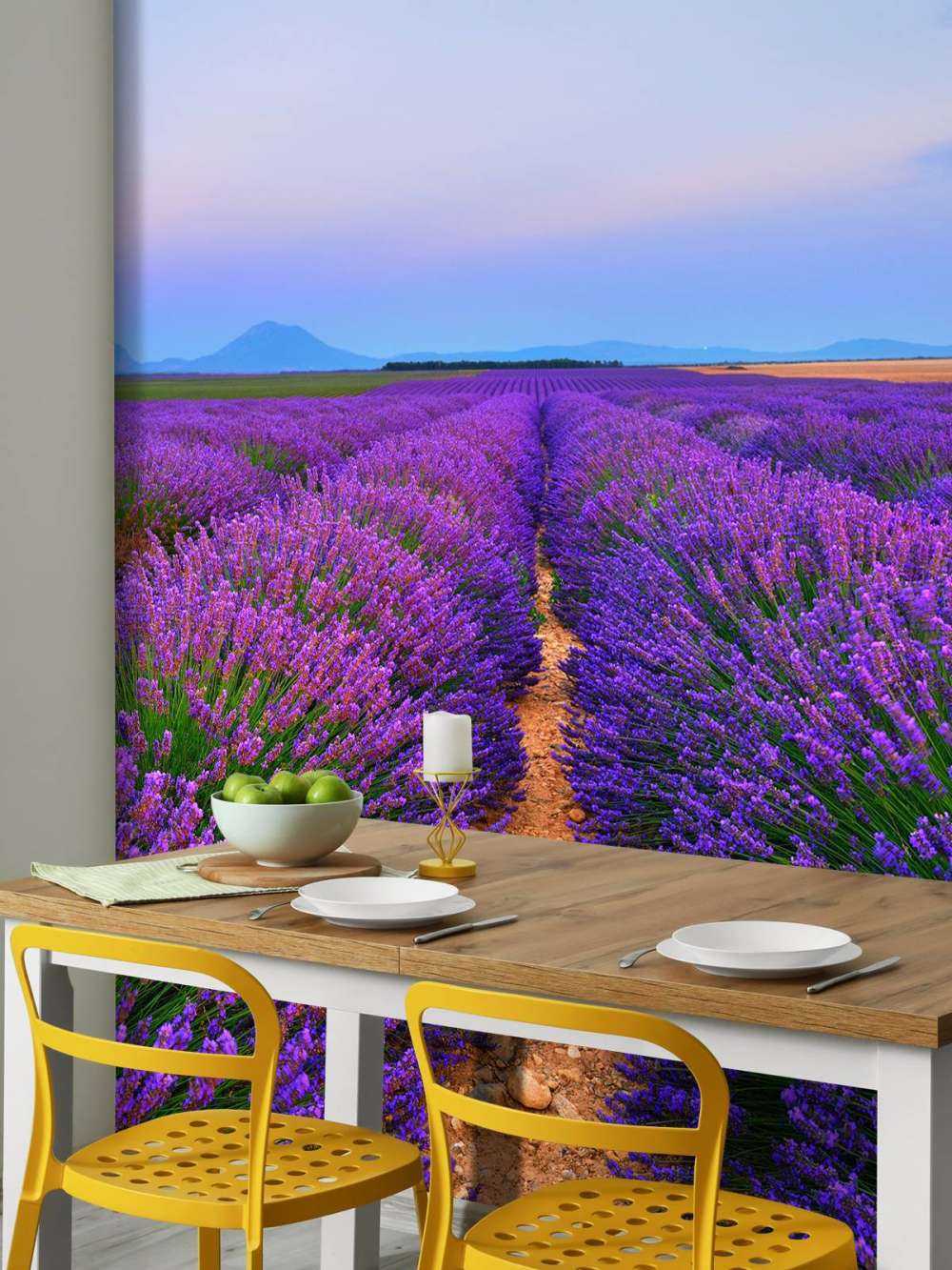 Lavendel landschap met bergen