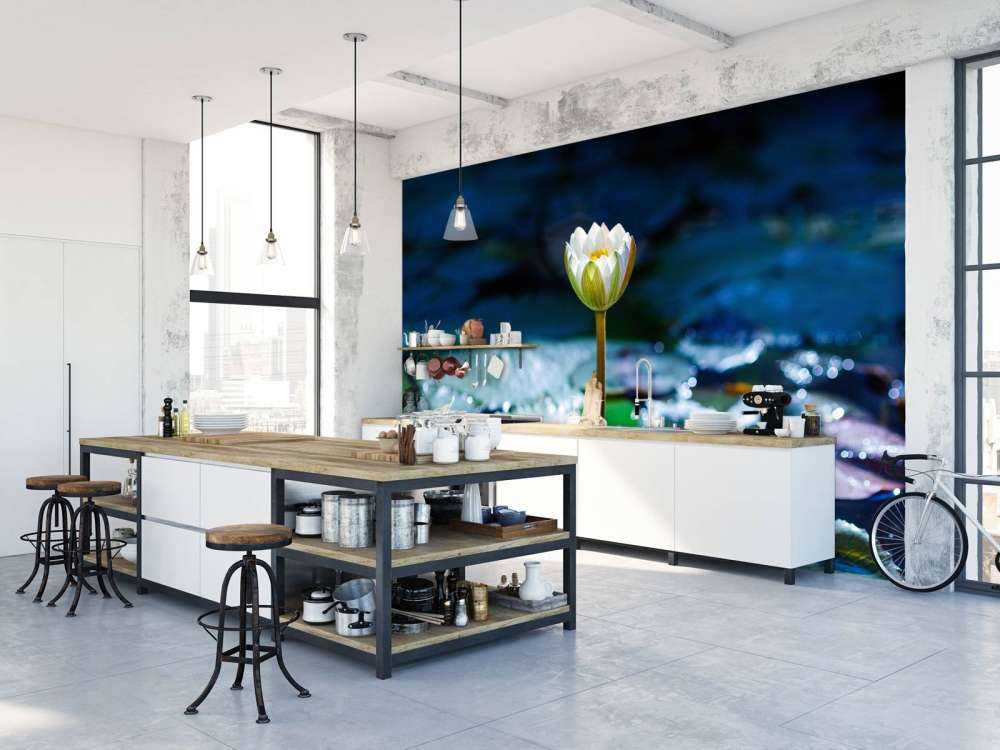 Lotusbloem in opkomend zonlicht