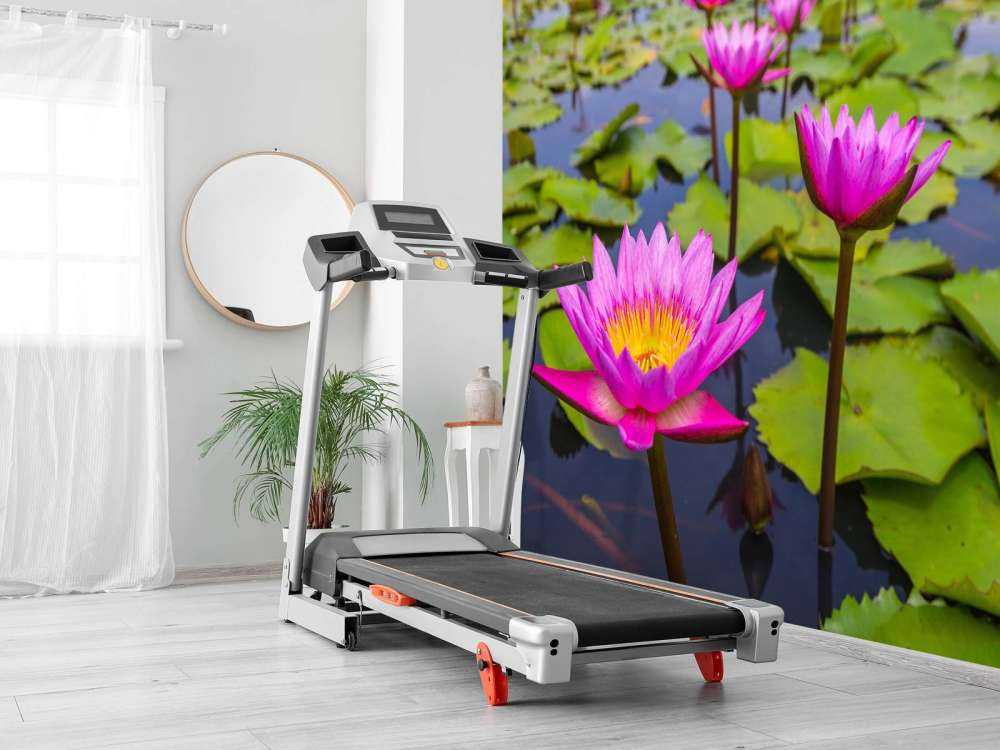 Opvallende roze lotusbloem