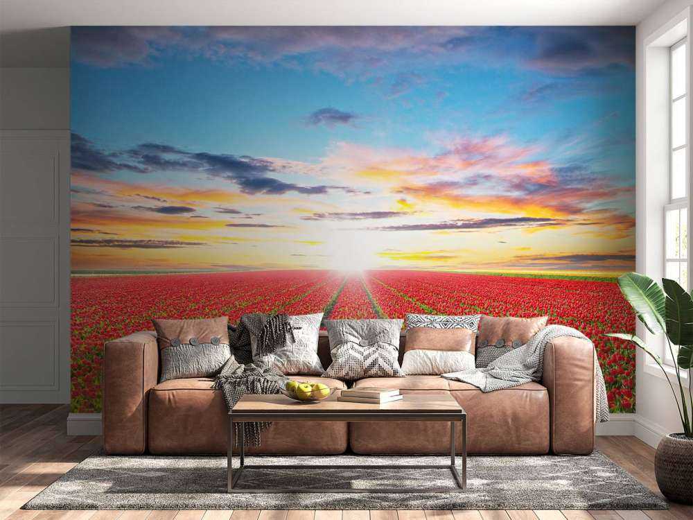 Rode tulpenveld bij zonsopkomst