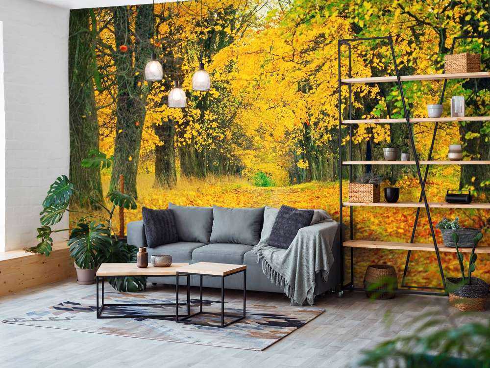 Herfst Bomen met Gele Bladeren