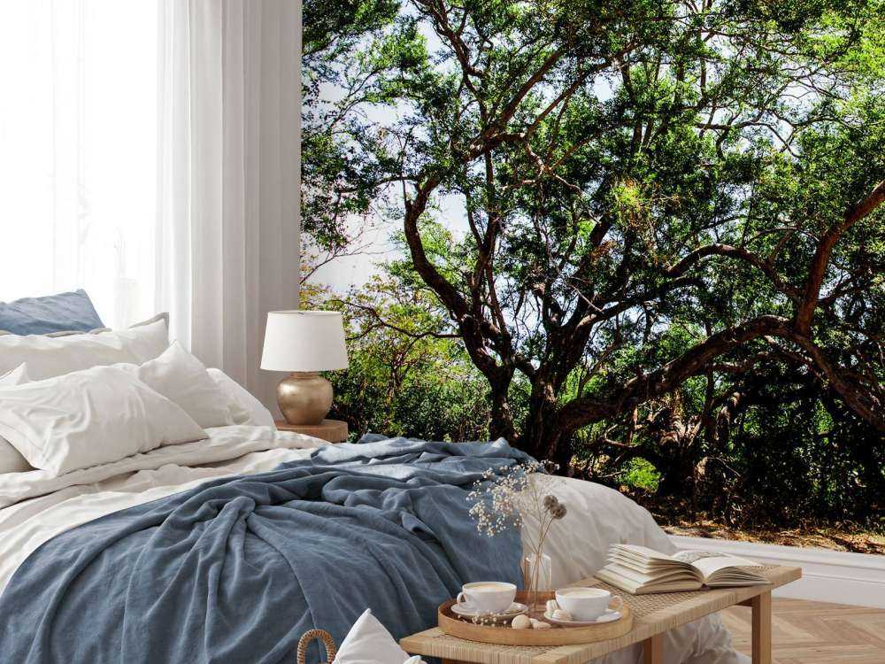 Oude Boom in Jungle