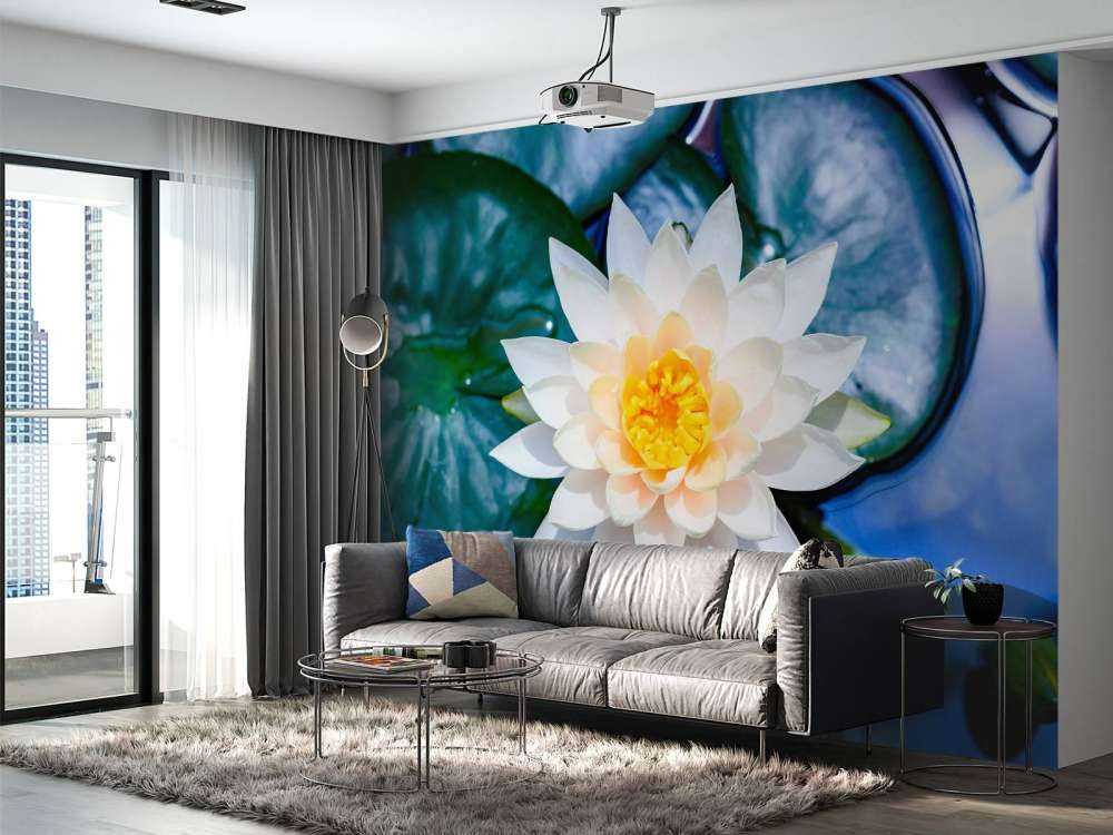 Witte lotusbloem met gele kern