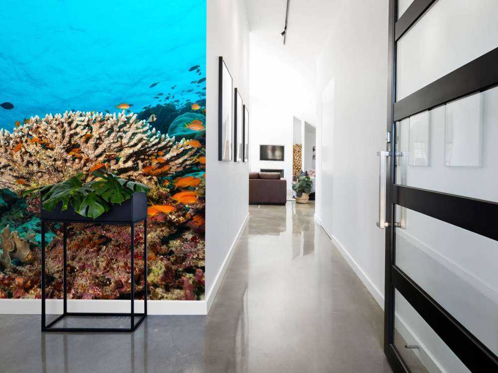 Koraalrif op de bodem van de Indische Oceaan