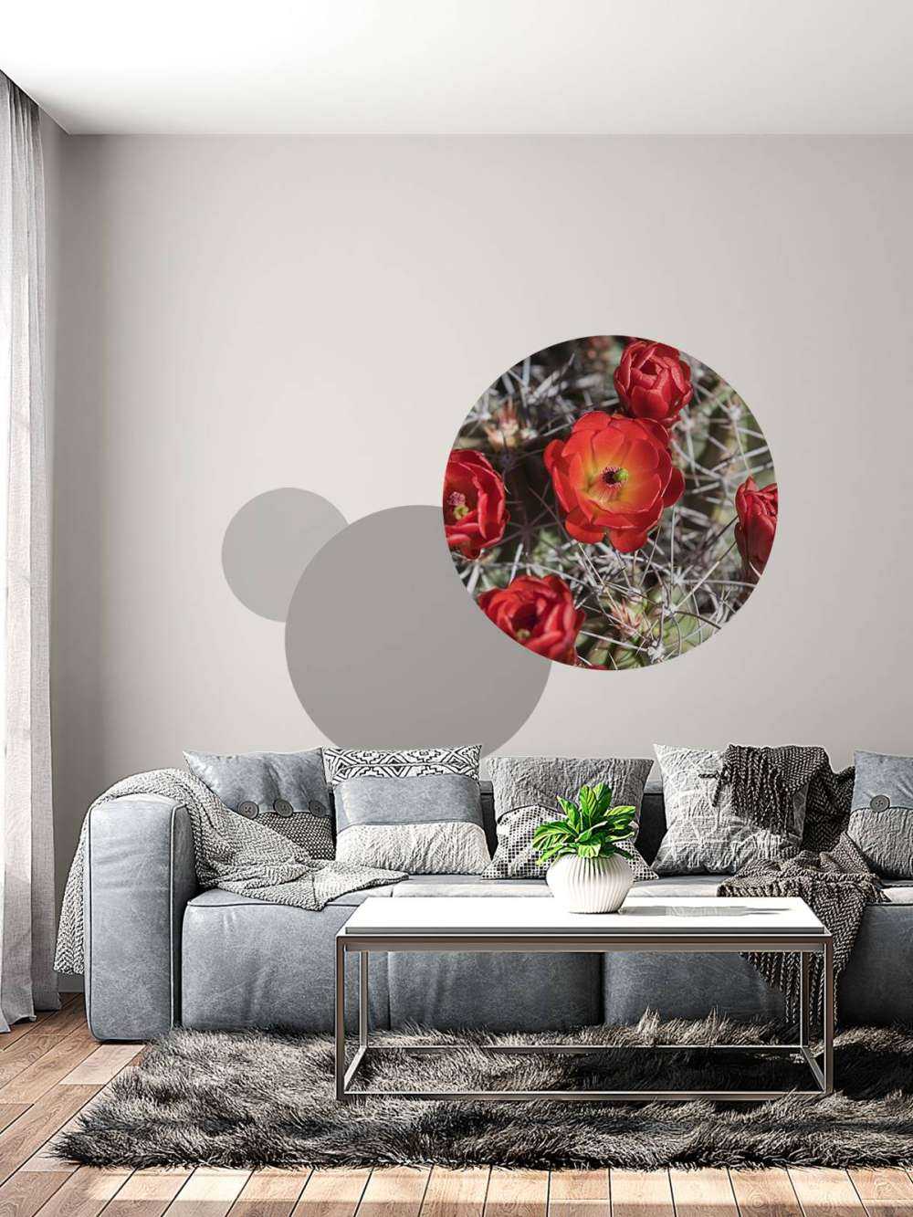 Rode cactus bloemen