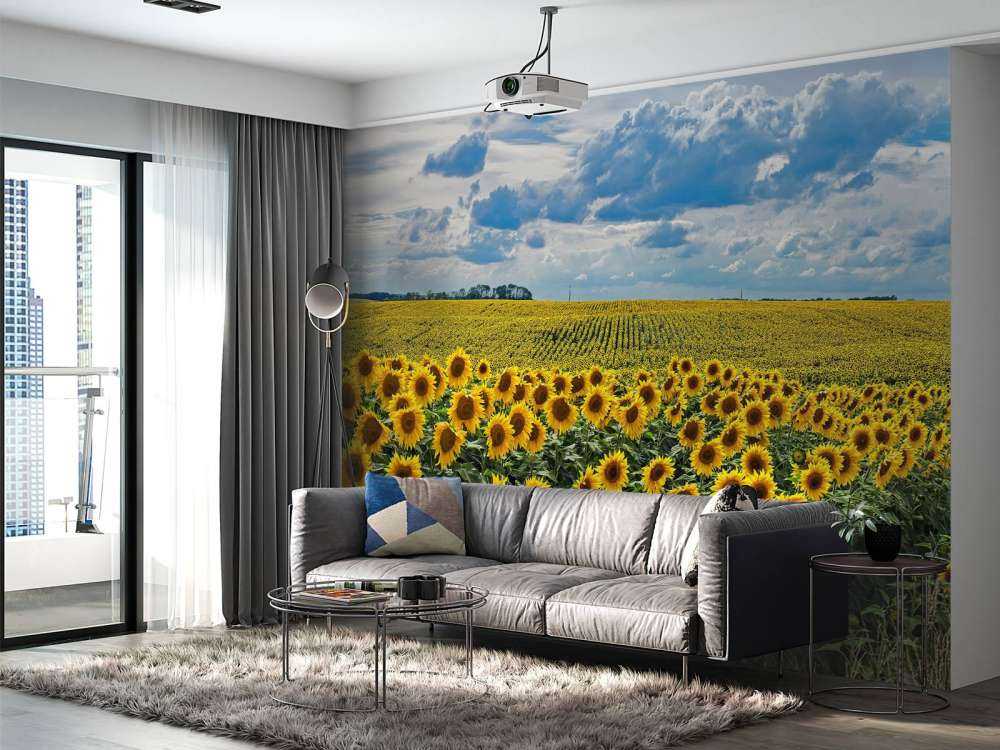 Weiland vol zonnebloemen