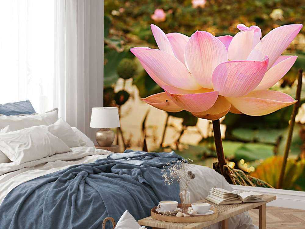 Roze lotusbloem