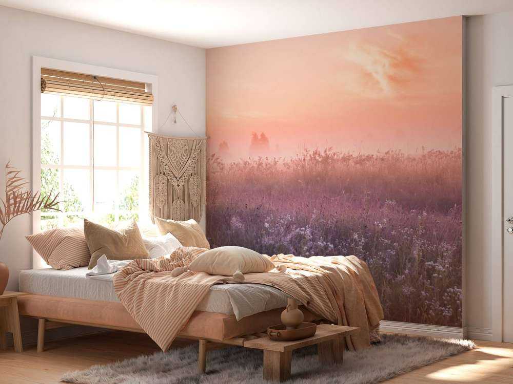 Veld met ochtendnevel