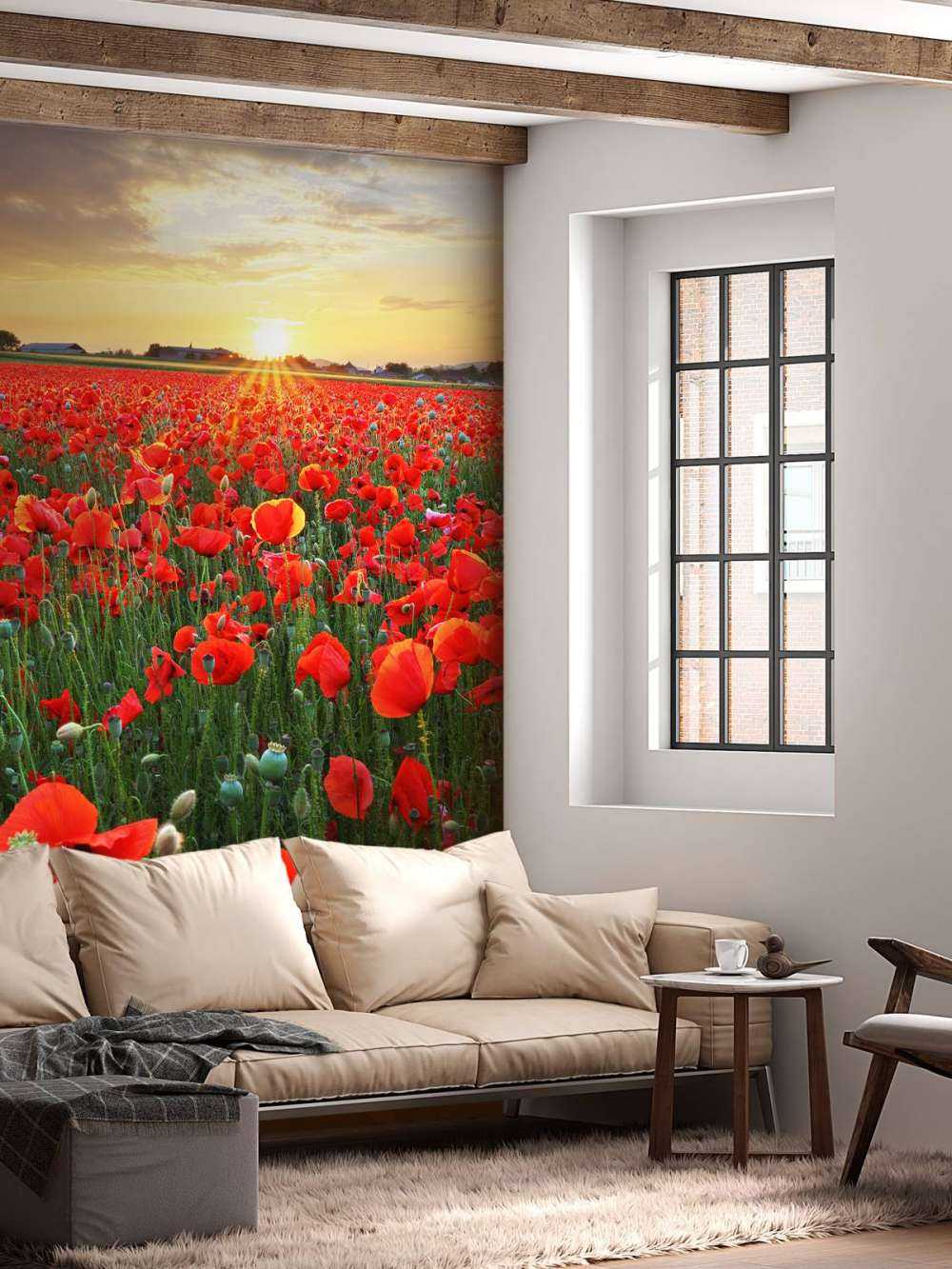 Klaprozen bij ondergaande zon