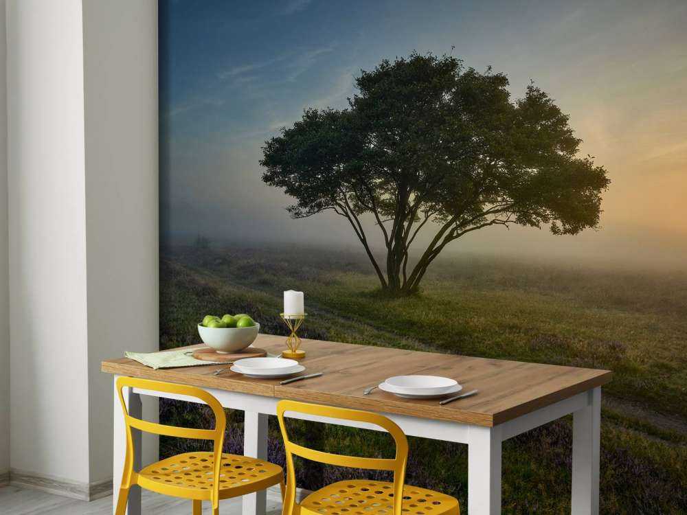 Zonsopkomst op de heide