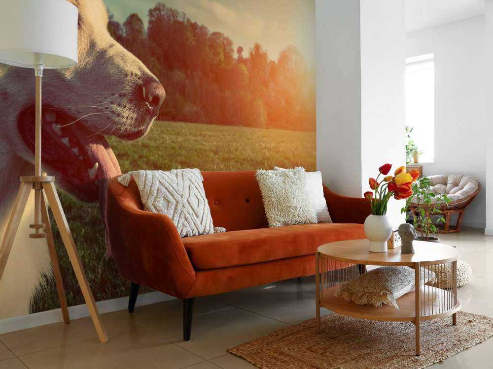 Grote witte hond bij zonsondergang