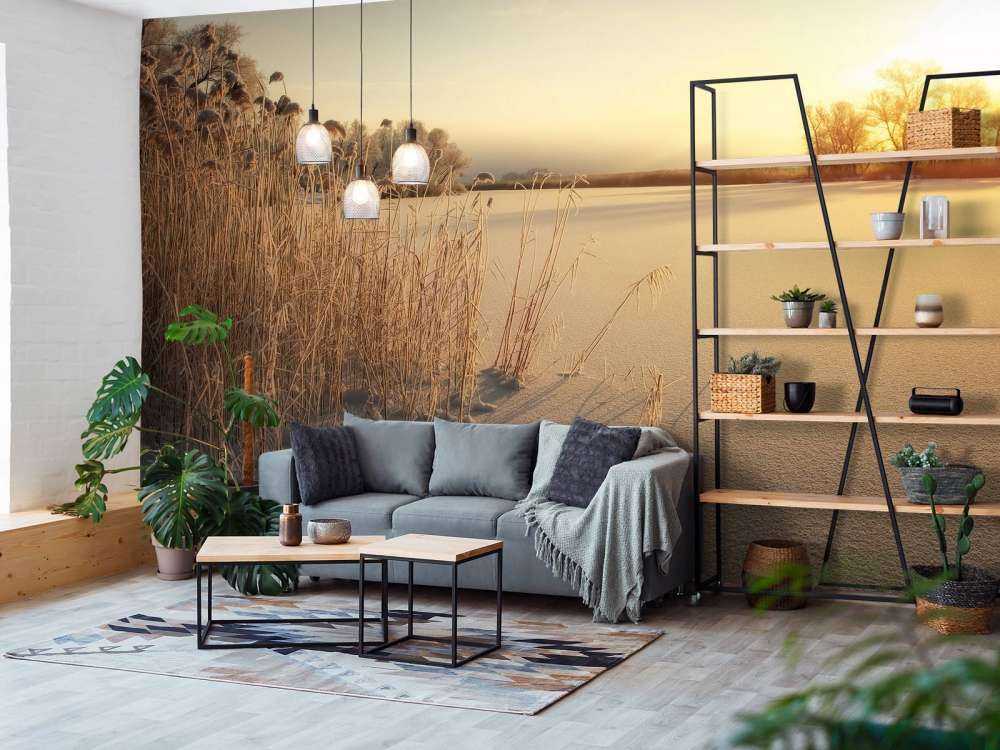 Riet op het strand bij zonsondergang