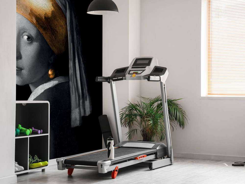 Meisje met de Parel Goud