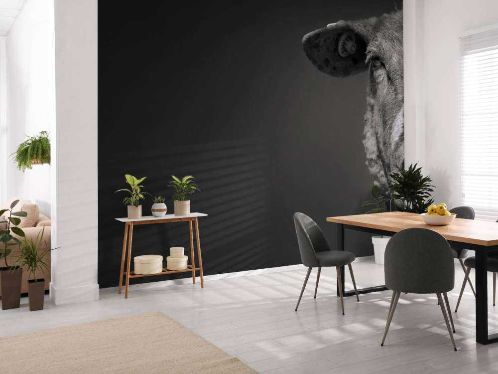 Close-up schaap zwart-wit