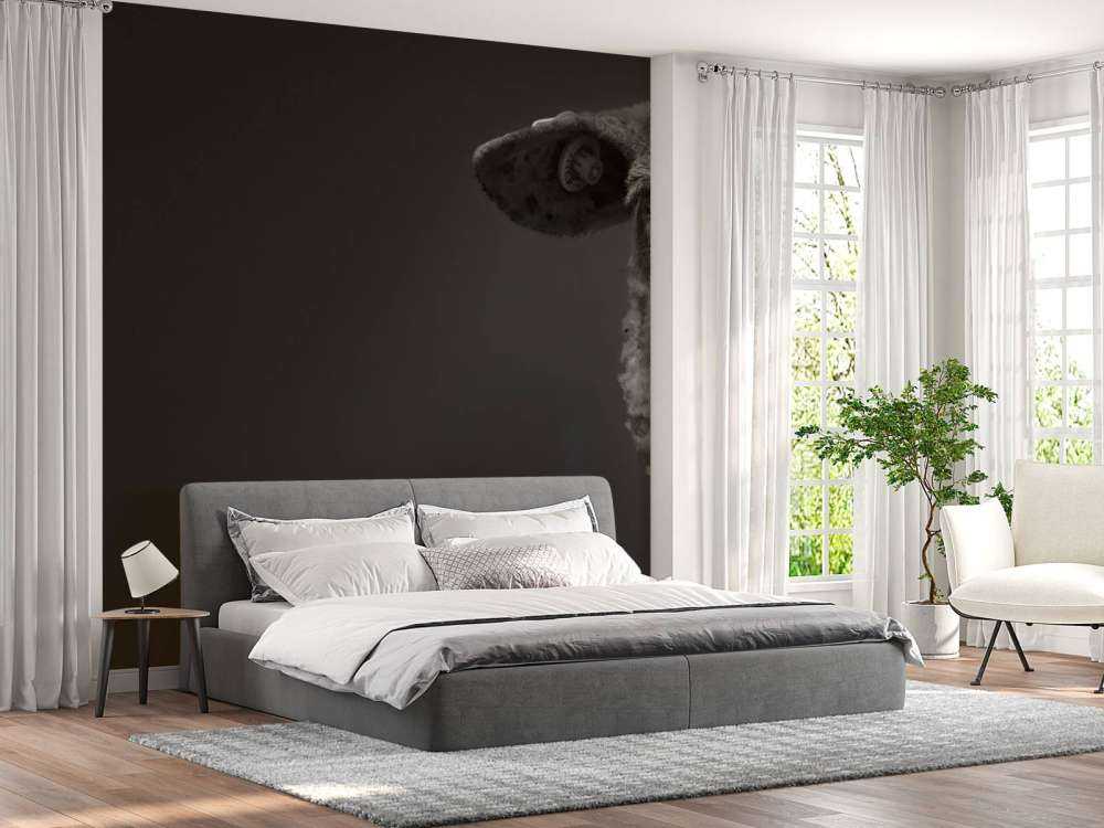 Close-up schaap zwart-wit